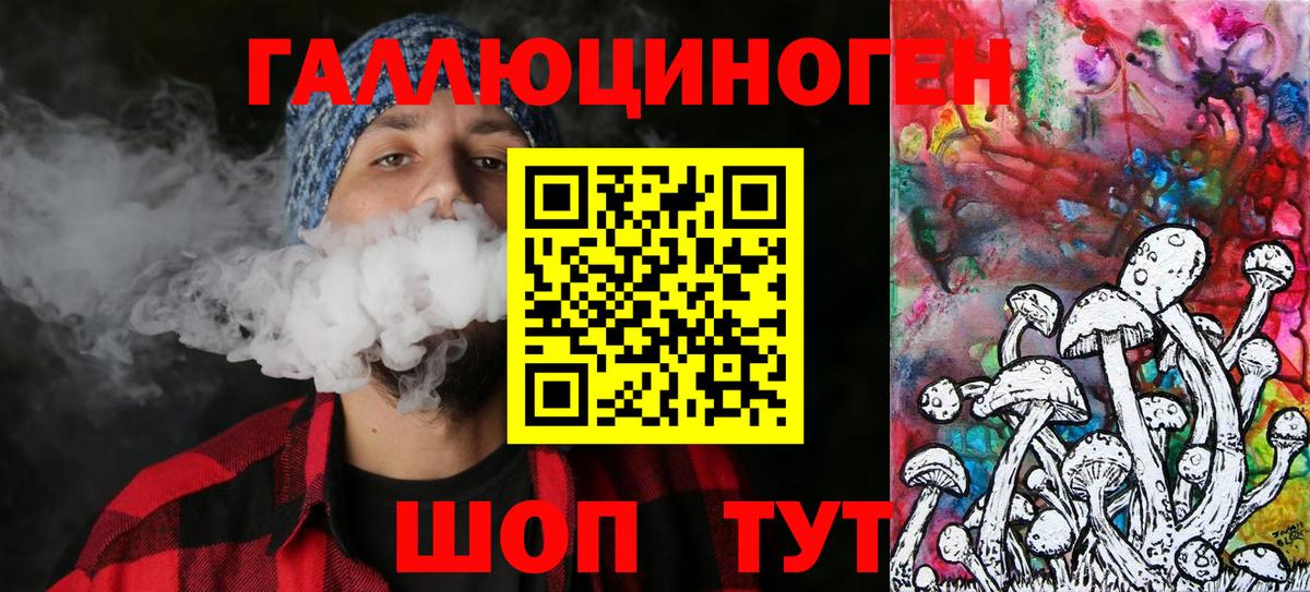 Псилоцибиновые грибы мицелий  Вход с VPN  Тында  Псилоцибиновые грибы Psilocybe 
